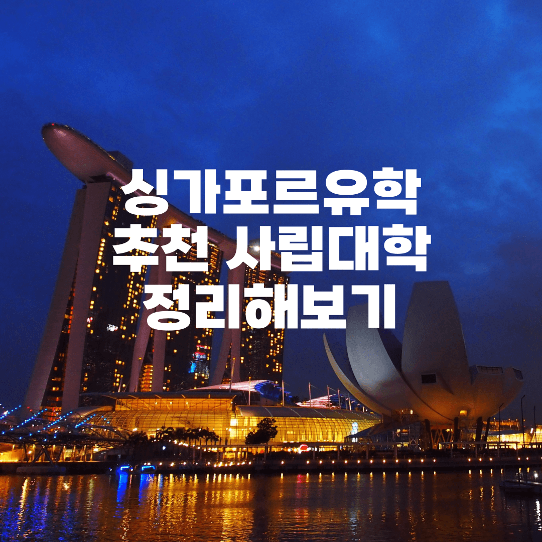 싱가포르유학, 사립대학교 중에서 어느 정도 이상 수준으로 추천하는 곳들