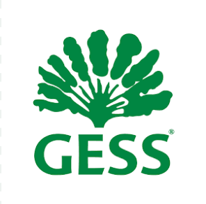 GESS International School 로고