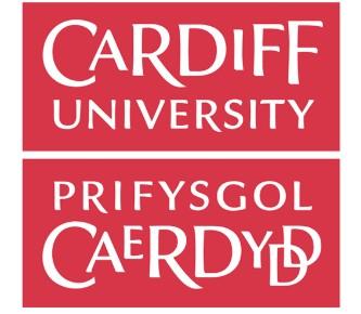 Cardiff University 로고