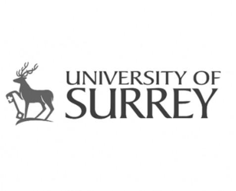University of Surrey 로고